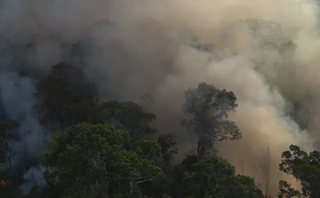 Brazil: From Climate Change Ally to Enemy?