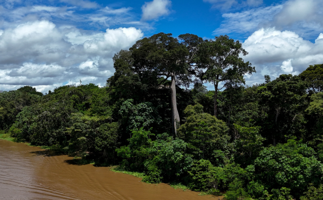 COP30: Multilateralism on Life Support