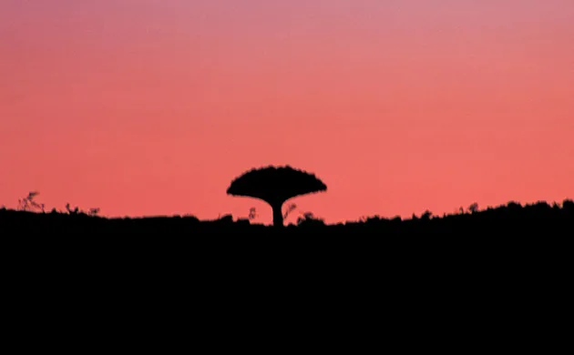 IUCN 2020: Tipping the Scales in Favor of Biodiversity