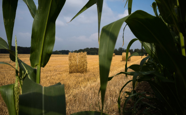 PAC, climat, souveraineté alimentaire : enjeux d’une agriculture française