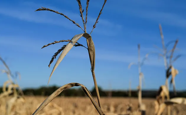 Salon International de l'Agriculture 2023 : le monde agricole face à la transition écologique