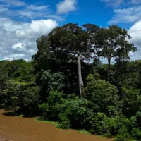 COP30 : le multilatéralisme sur la corde raide