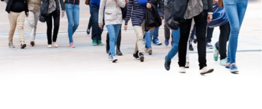 100 millions d’euros supplémentaires pour les universités : décryptage