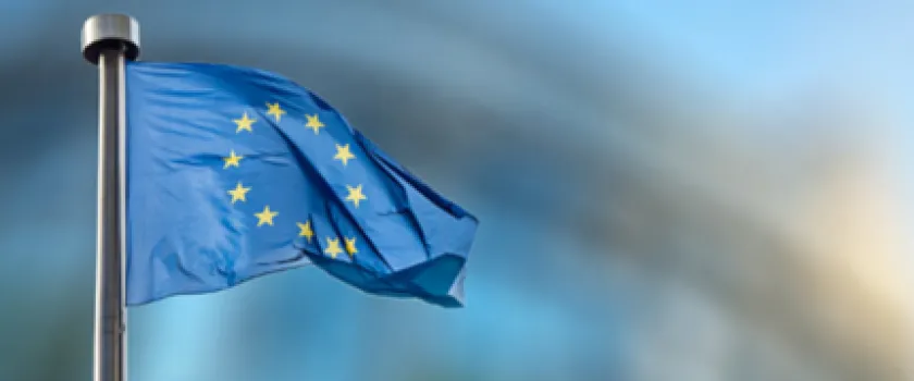 Cinq actions incontournables pour organiser le Brexit