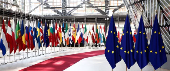 European Council: A Great Deal of Politics and Little Precision