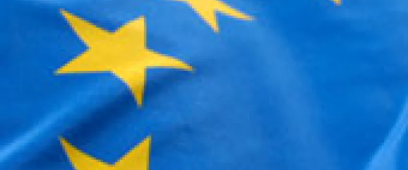 Elections européennes : qui a gagné ?