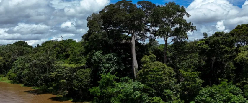 COP30: Multilateralism on Life Support