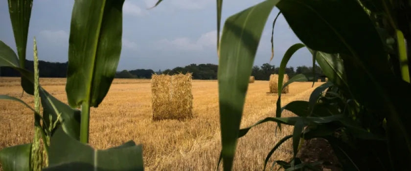 PAC, climat, souveraineté alimentaire : enjeux d’une agriculture française