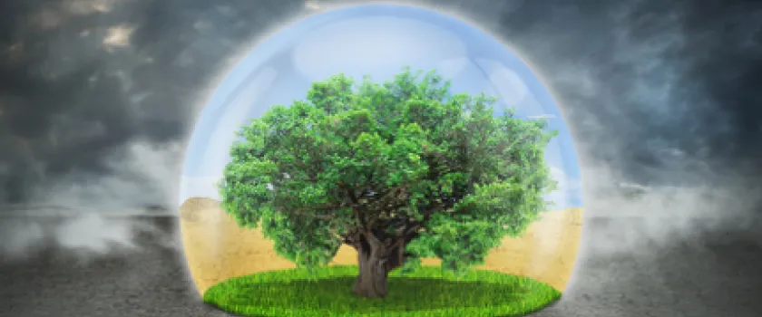 Climat : une priorité de façade ?