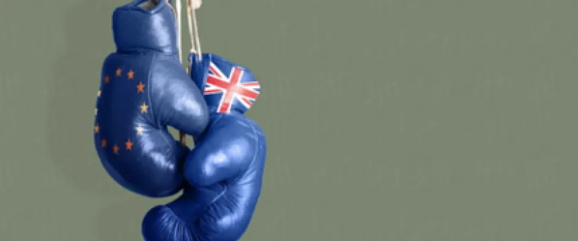 Traités commerciaux : le Royaume-Uni prépare l’après-Brexit