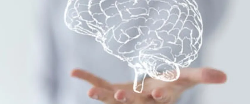 Santé mentale et psychiatrie : le retard français alors qu'il y a urgence...