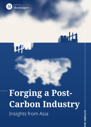 <p><strong>Forging a Post-Carbon Industry</strong><br />
Insights from Asia</p>
