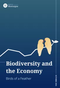 <p><strong>Biodiversity and the Economy</strong><br />
Birds of a Feather</p>
