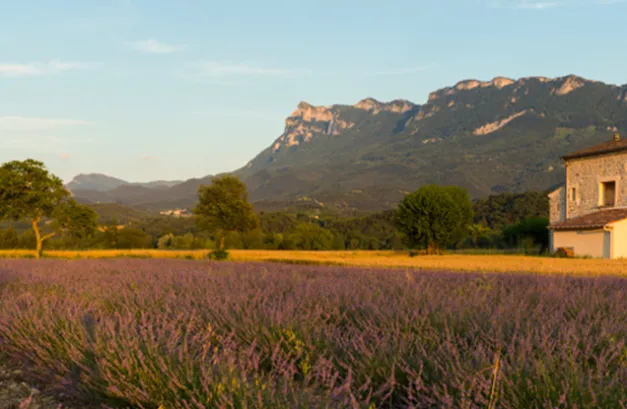 Enjeux de la cohésion territoriale : cohésion territoriale et territoires ruraux